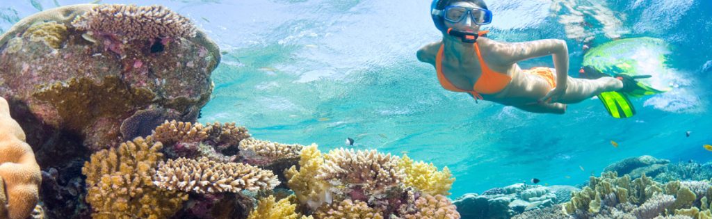 Why Choosing Reef Safe Sun Protection Is So Important – Pure Haven